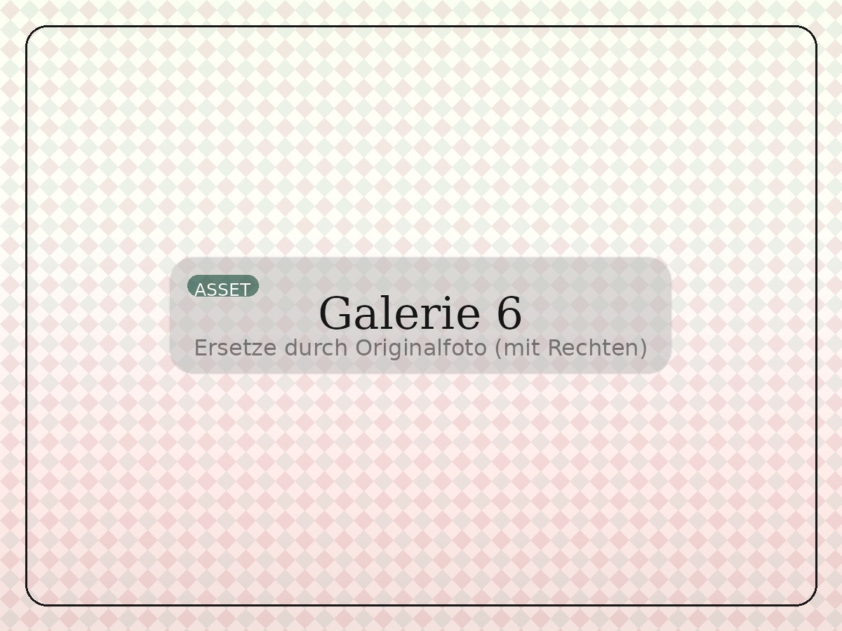 Galeriebild 6 (Platzhalter)